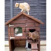Casa gatos exterior
